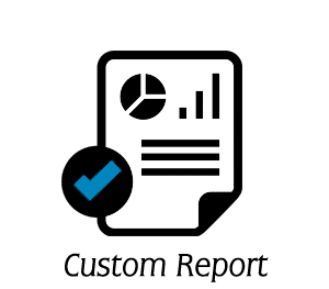 custom report